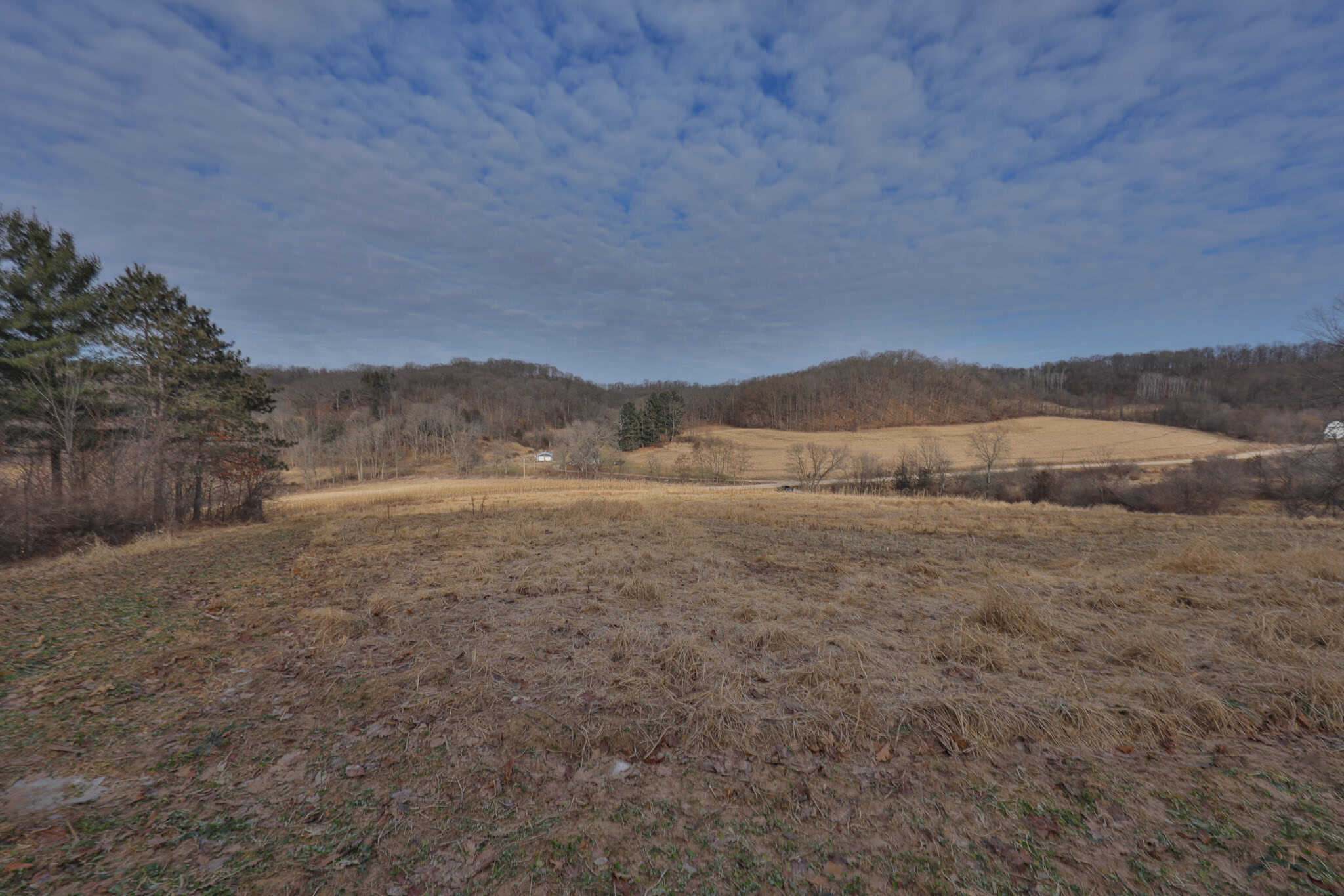 Driftless Trophy Whitetail Legacy Farm – Proven Big Buck Property with Prime Ag & Timber in Richland County, WI