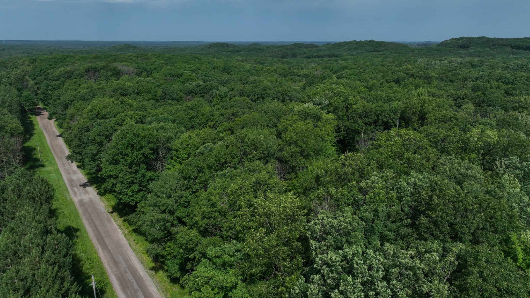 Legacy Whitetail Retreat — 65 Acres with New Custom Hunting Cabin off Dead-End Road in Clark County, Wisconsin