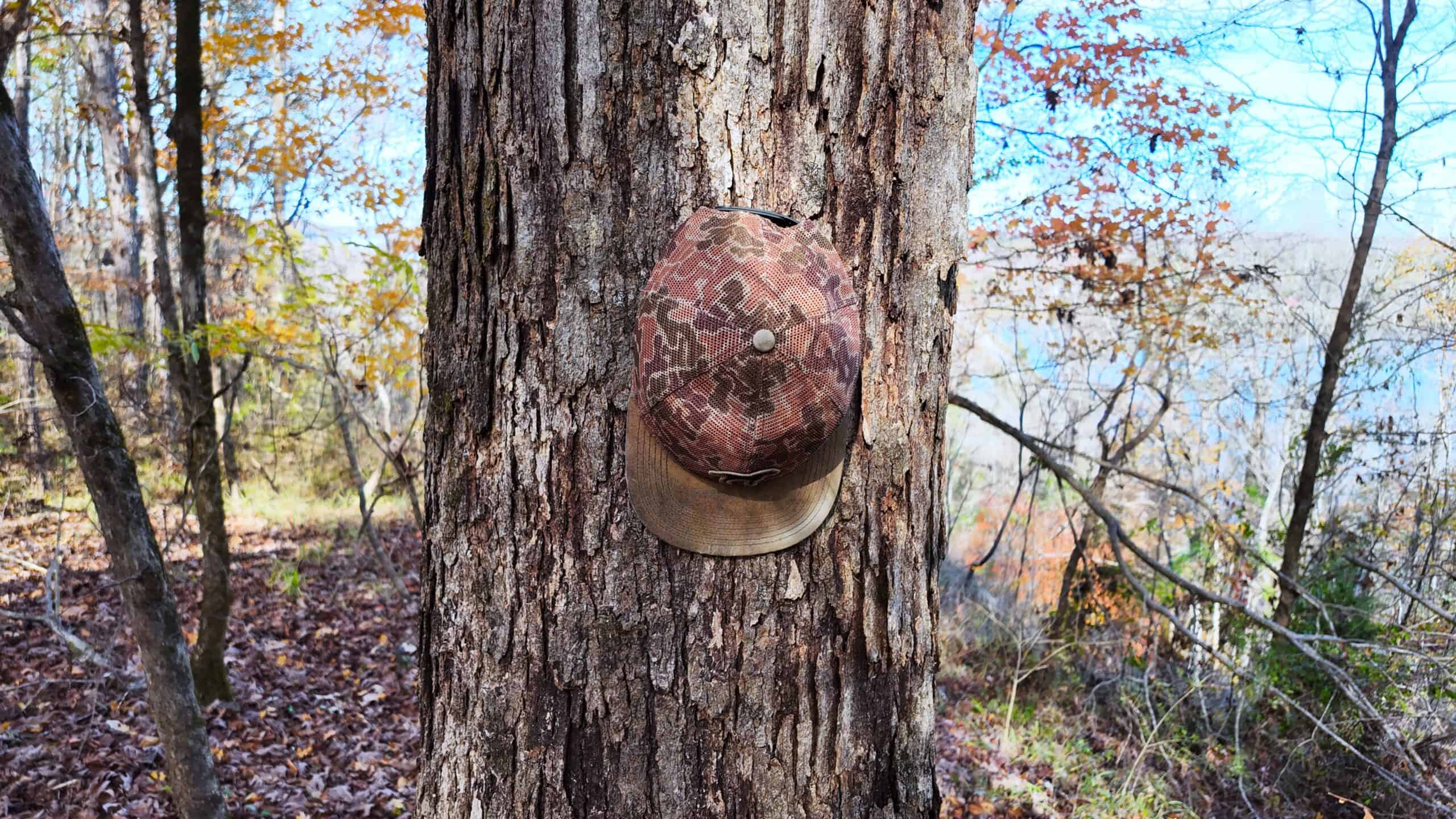 188 Acres for Sale in the Alabama River Bluff