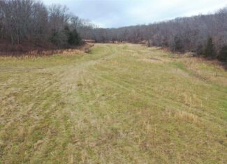 Land with Building Sites for Sale in Salem, Missouri