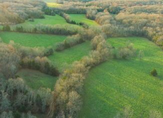 Salem, Missouri Acreage for Sale