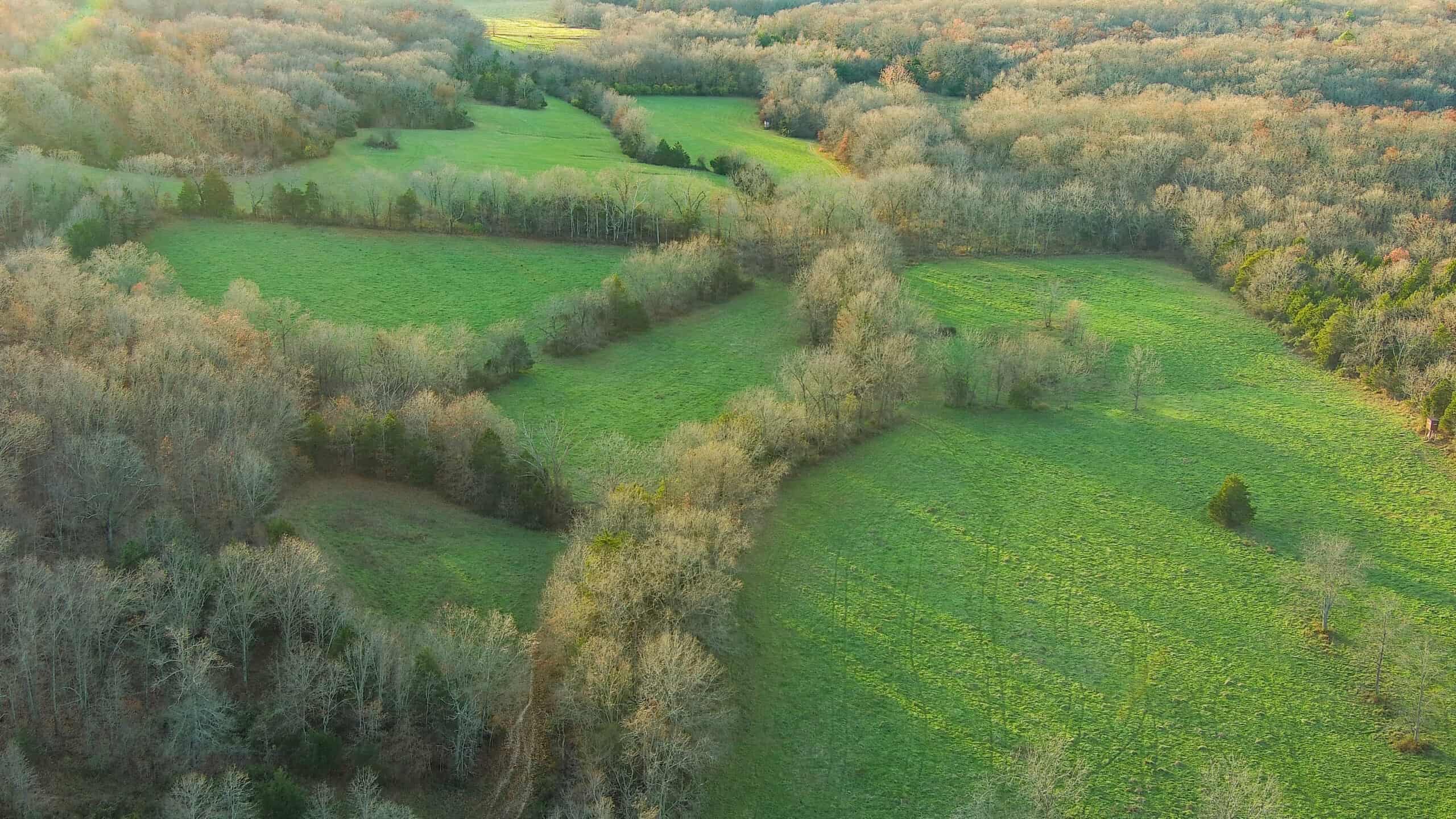 Salem, Missouri Acreage for Sale