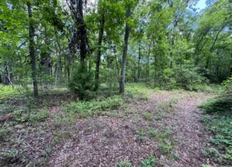 Situated along the scenic Jackson Branch in Allendale Cty is 98+/- acres