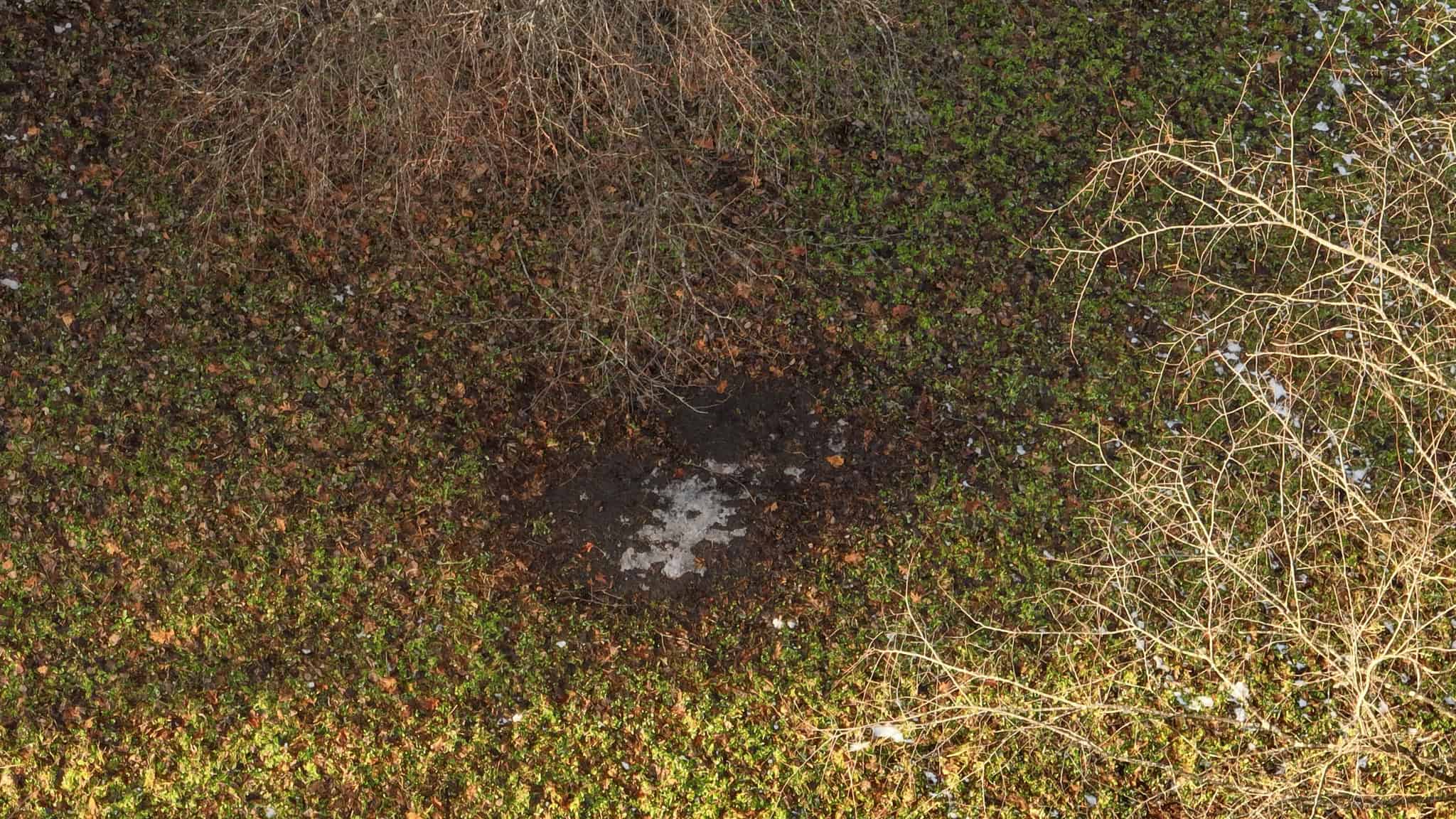 Prime Crawford County Hunting Land with Electric & Legendary Big Buck Potential