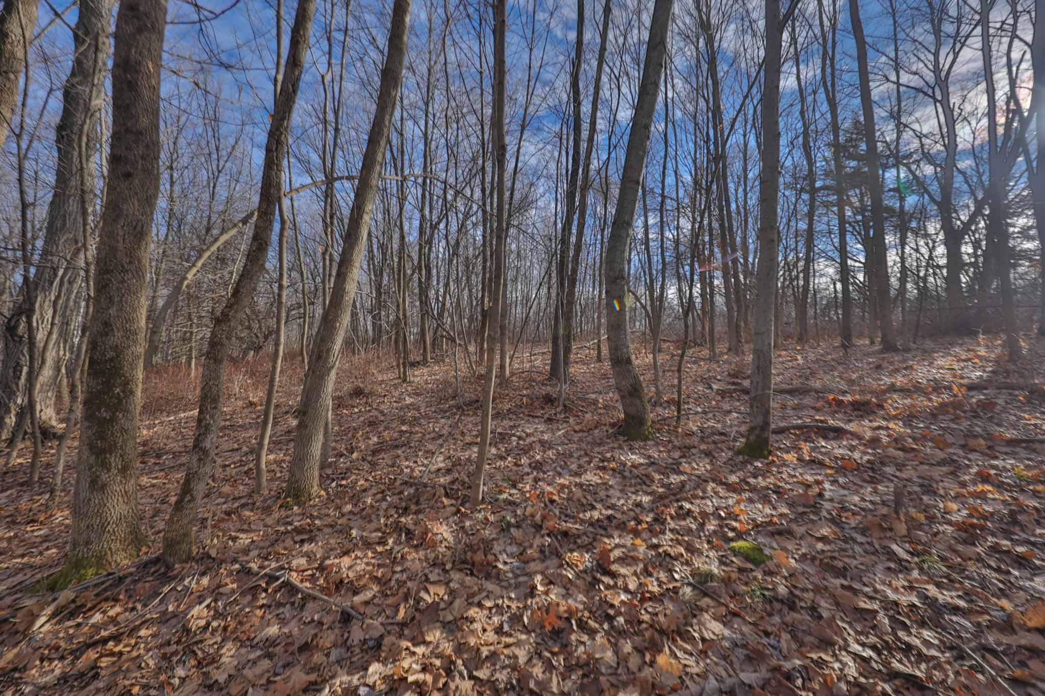 Driftless Trophy Whitetail Legacy Farm – Proven Big Buck Property with Prime Ag & Timber in Richland County, WI
