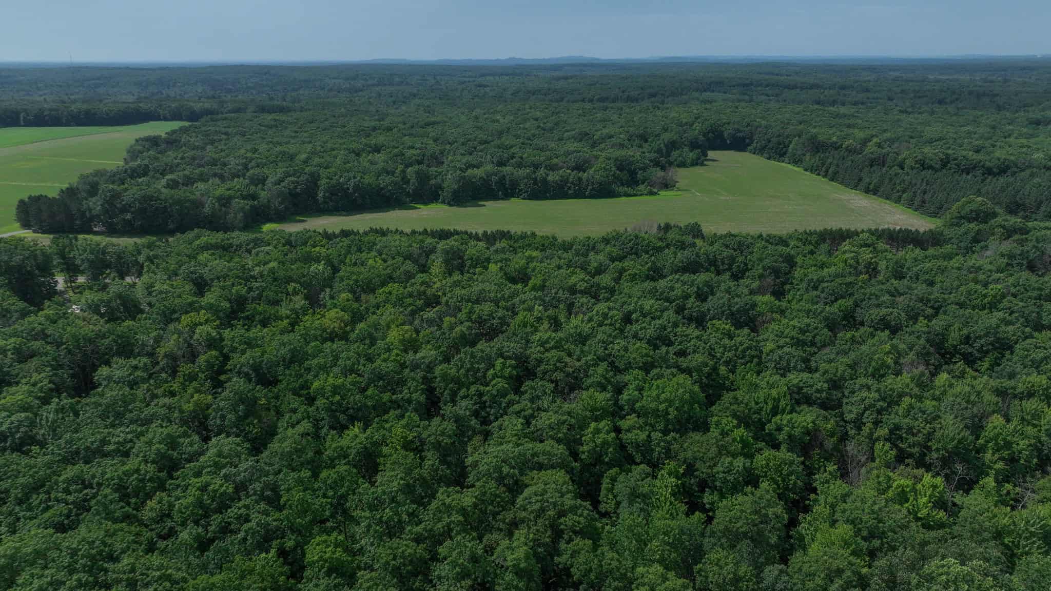 Legacy Whitetail Retreat — 65 Acres with New Custom Hunting Cabin off Dead-End Road in Clark County, Wisconsin
