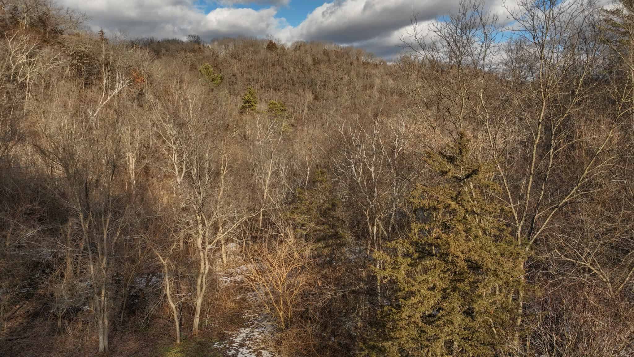 Prime Crawford County Hunting Land with Electric & Legendary Big Buck Potential