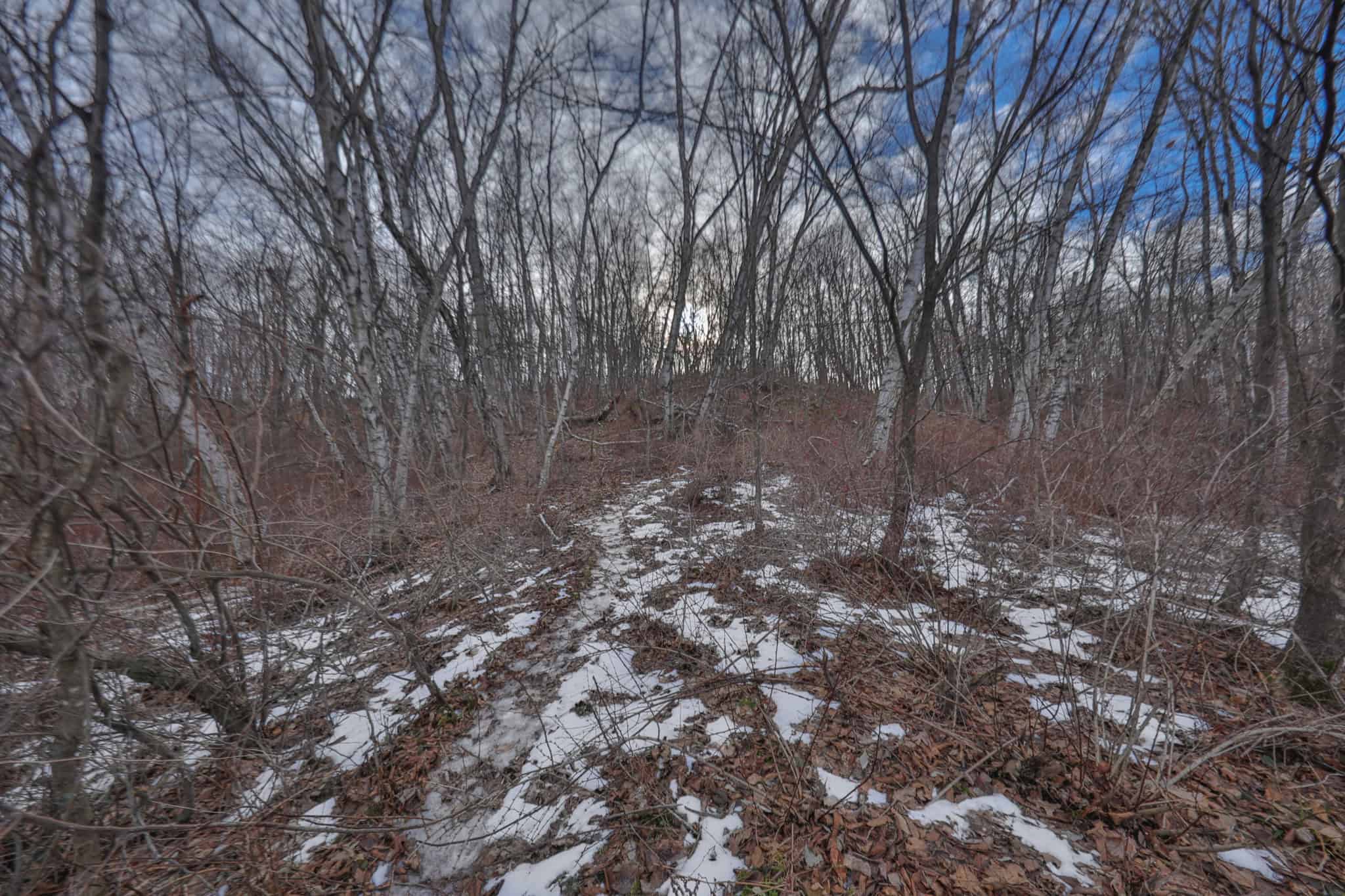 Driftless Trophy Whitetail Legacy Farm – Proven Big Buck Property with Prime Ag & Timber in Richland County, WI