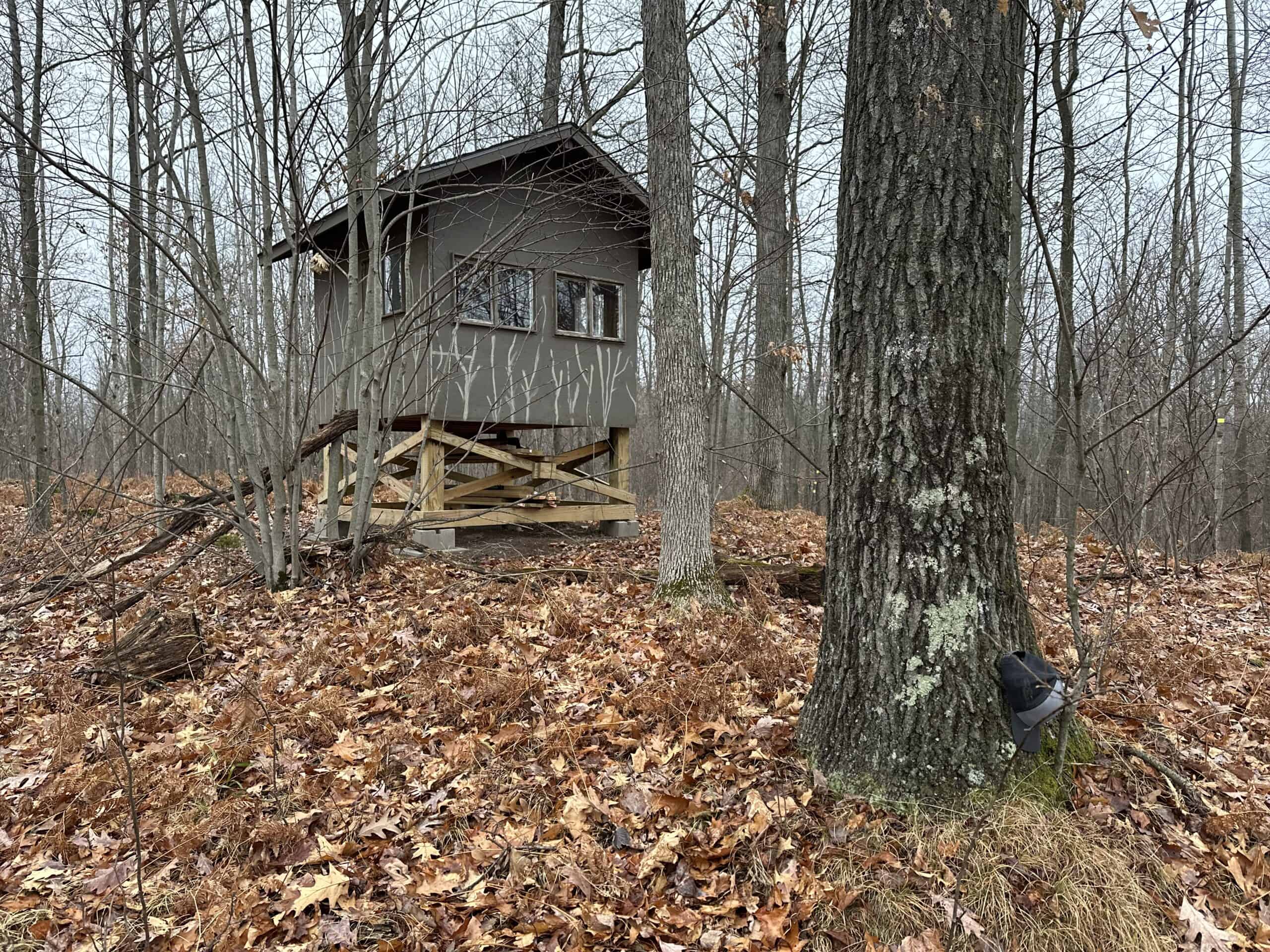 Legacy Whitetail Retreat — 65 Acres with New Custom Hunting Cabin off Dead-End Road in Clark County, Wisconsin