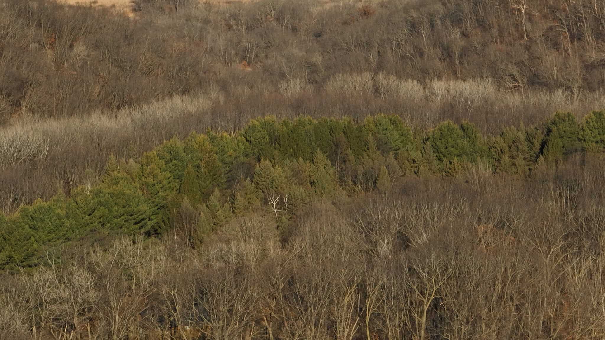 Legacy Blufftop Hunting Retreat Near the Mississippi River | 128 Acres in Crawford County, WI