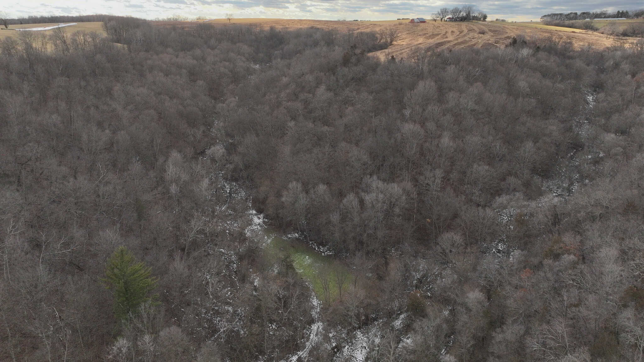 Prime Crawford County Hunting Land with Electric & Legendary Big Buck Potential