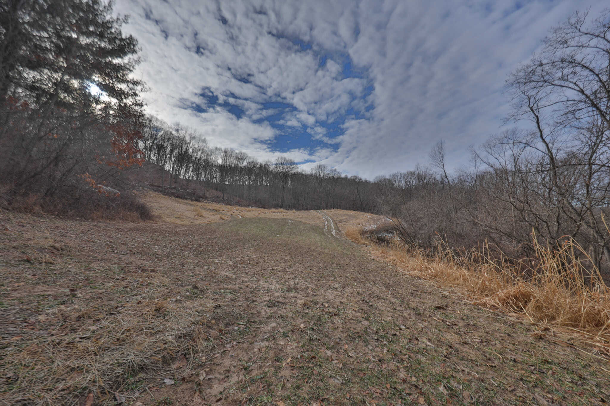 Driftless Trophy Whitetail Legacy Farm – Proven Big Buck Property with Prime Ag & Timber in Richland County, WI