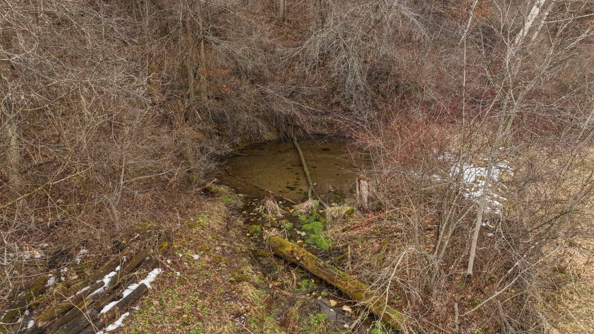 Prime Crawford County Hunting Land with Electric & Legendary Big Buck Potential