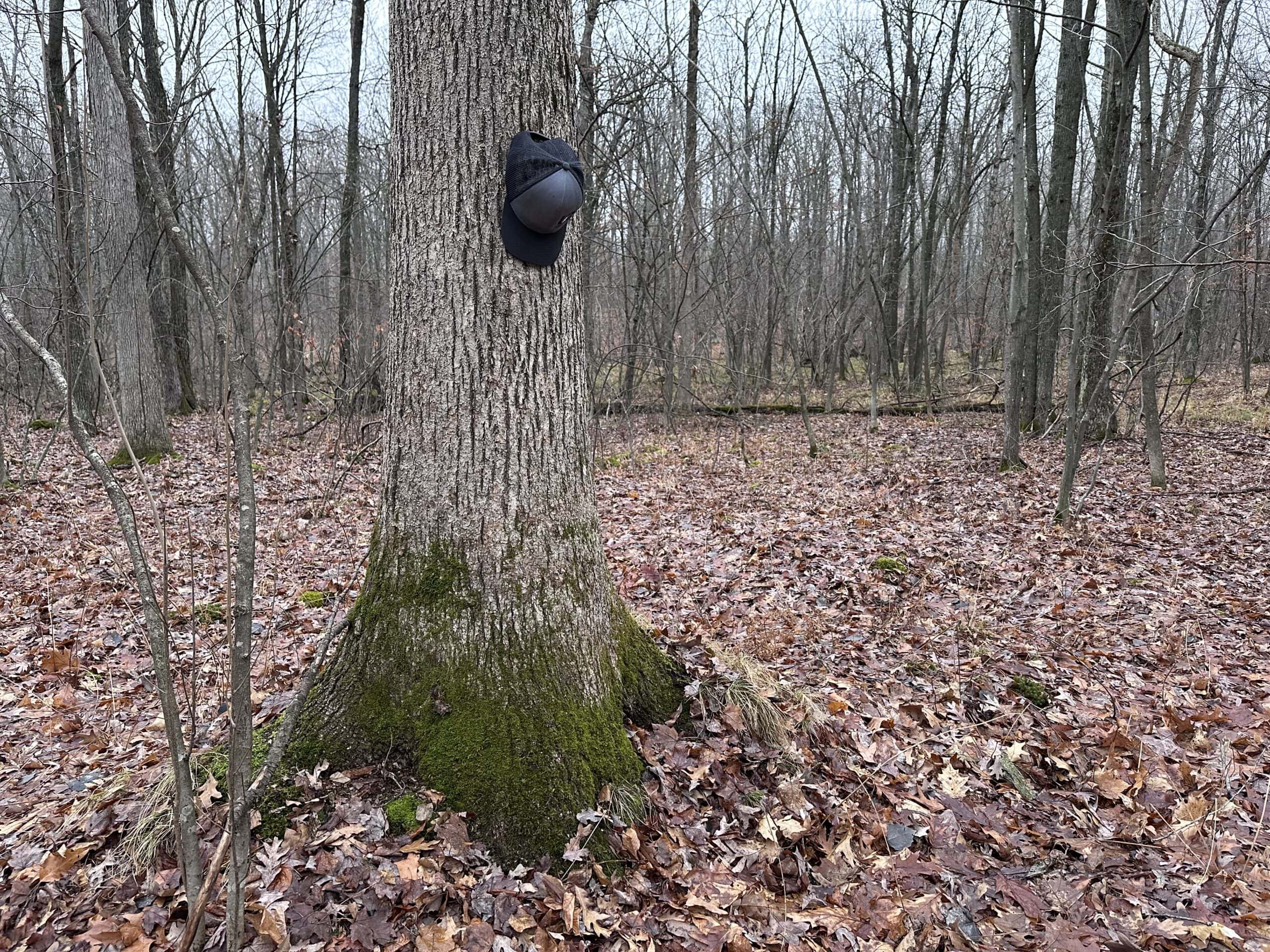 Legacy Whitetail Retreat — 65 Acres with New Custom Hunting Cabin off Dead-End Road in Clark County, Wisconsin