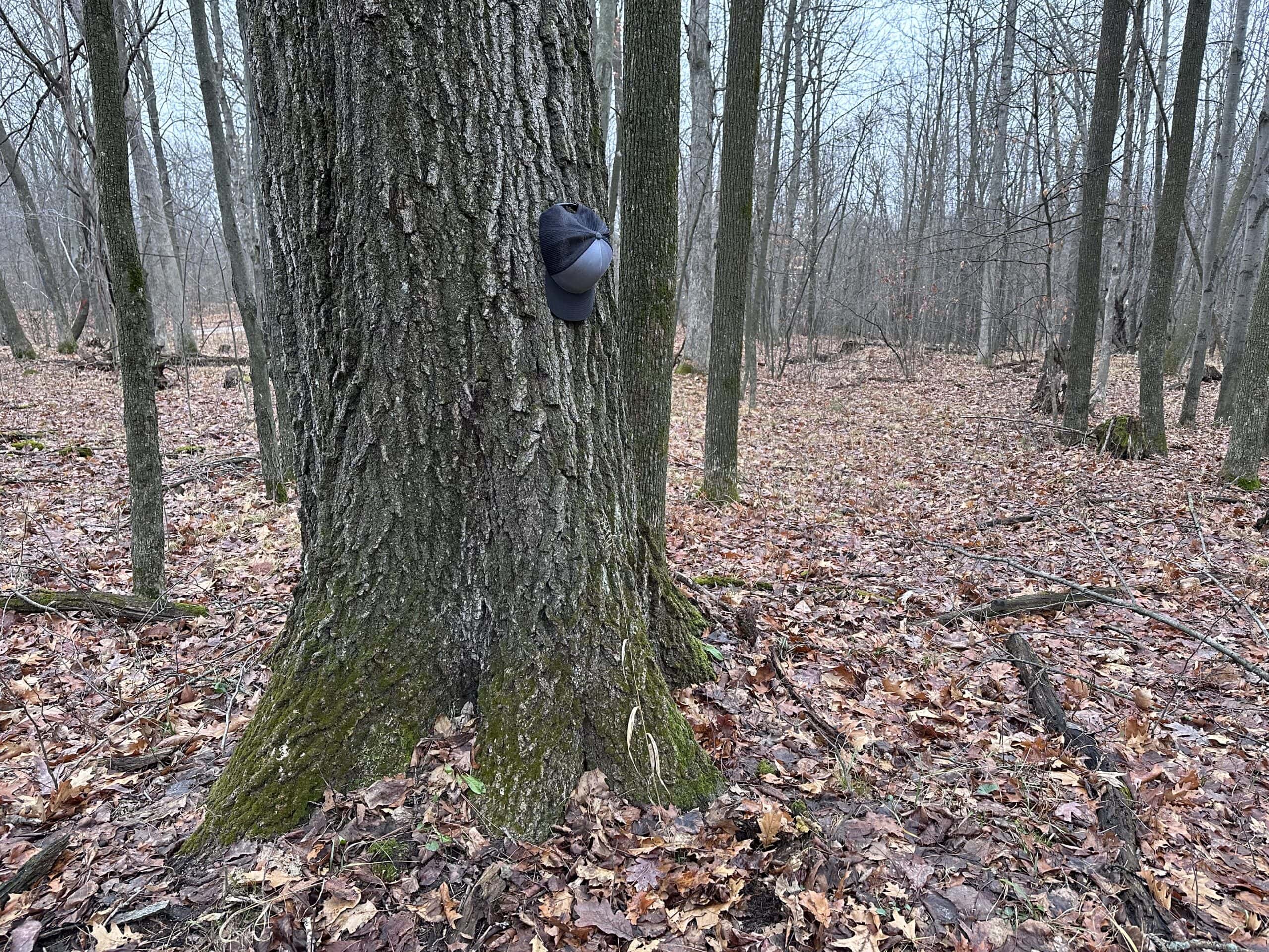 Legacy Whitetail Retreat — 65 Acres with New Custom Hunting Cabin off Dead-End Road in Clark County, Wisconsin