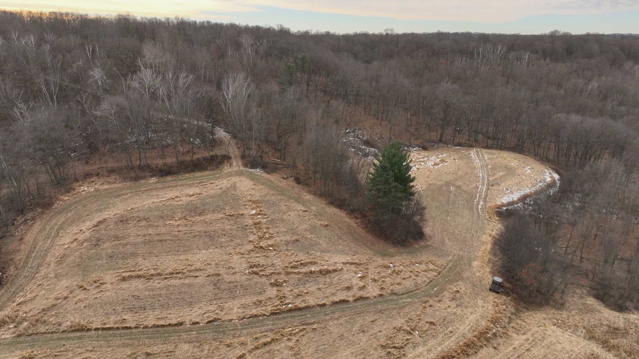 Driftless Trophy Whitetail Legacy Farm – Proven Big Buck Property with Prime Ag & Timber in Richland County, WI