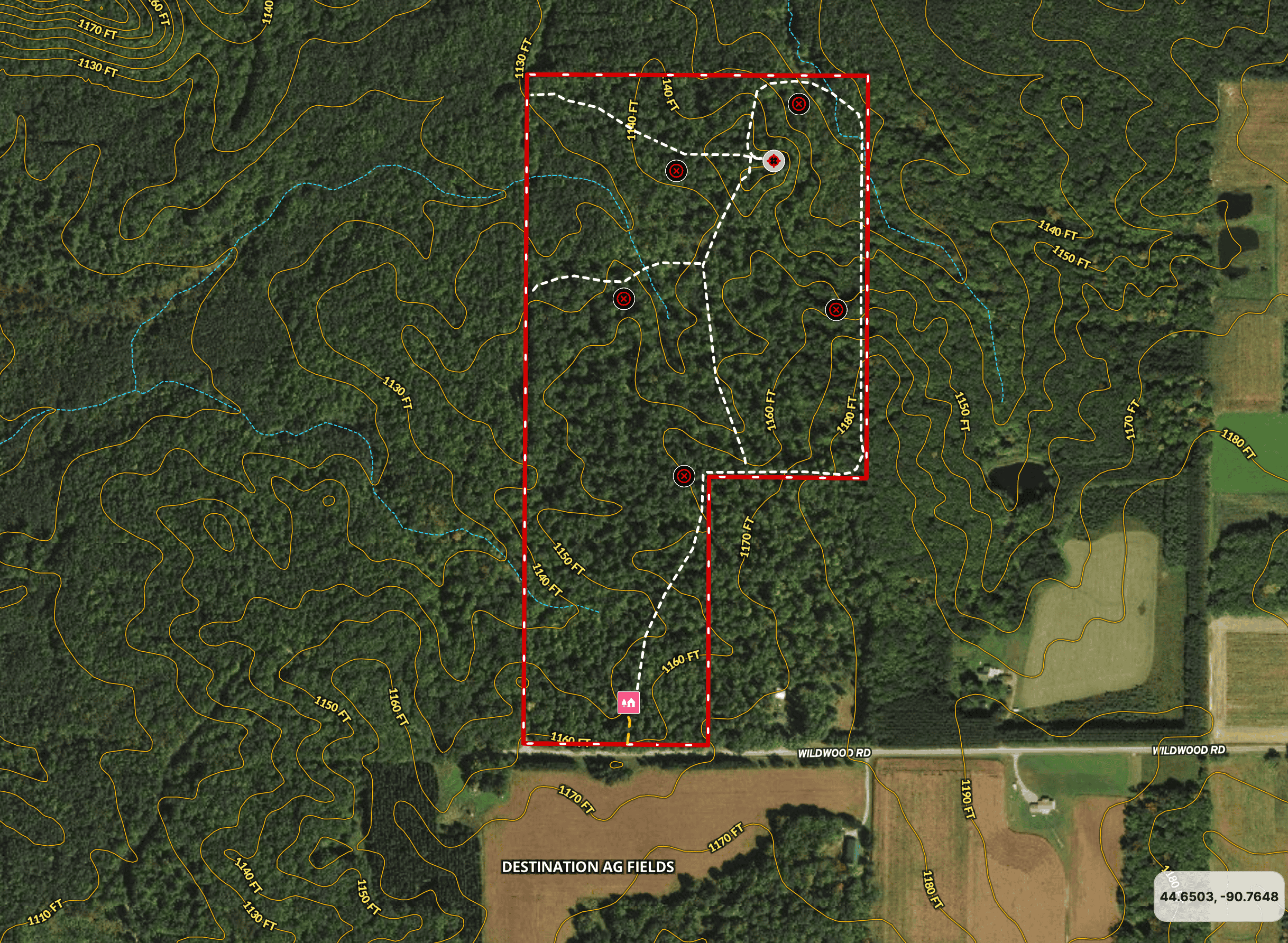 Legacy Whitetail Retreat — 65 Acres with New Custom Hunting Cabin off Dead-End Road in Clark County, Wisconsin