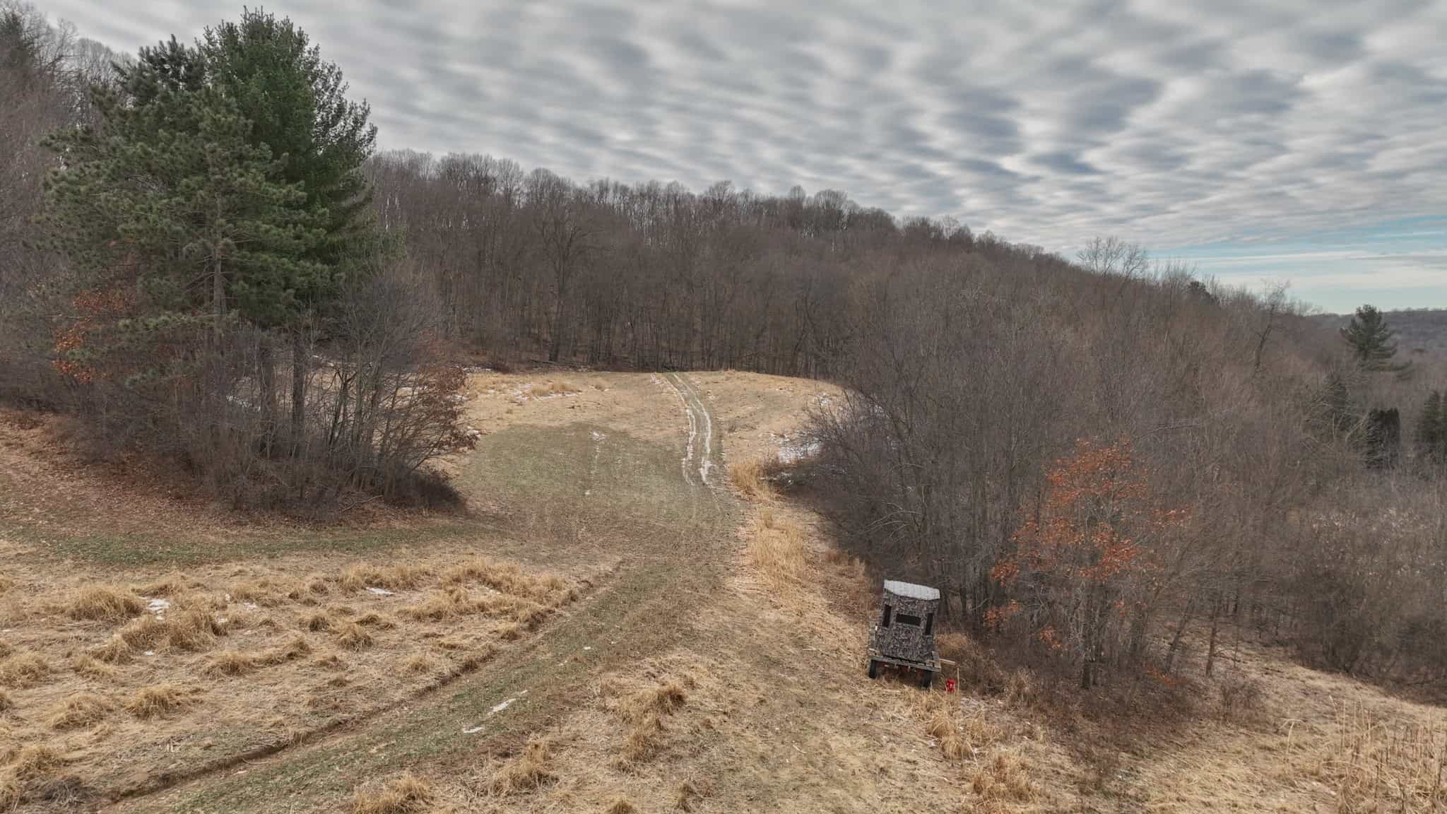 Driftless Trophy Whitetail Legacy Farm – Proven Big Buck Property with Prime Ag & Timber in Richland County, WI