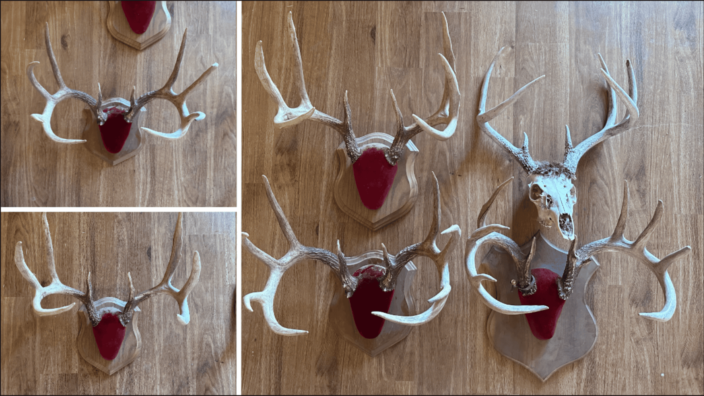 Driftless Trophy Whitetail Legacy Farm – Proven Big Buck Property with Prime Ag & Timber in Richland County, WI