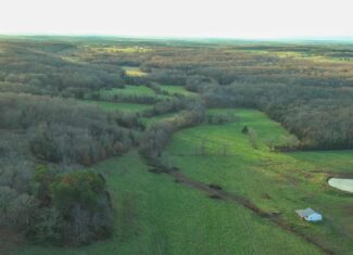 Salem, Missouri Acreage for Sale
