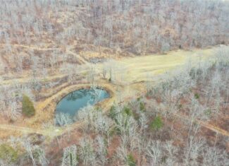 Land with Building Sites for Sale in Salem, Missouri
