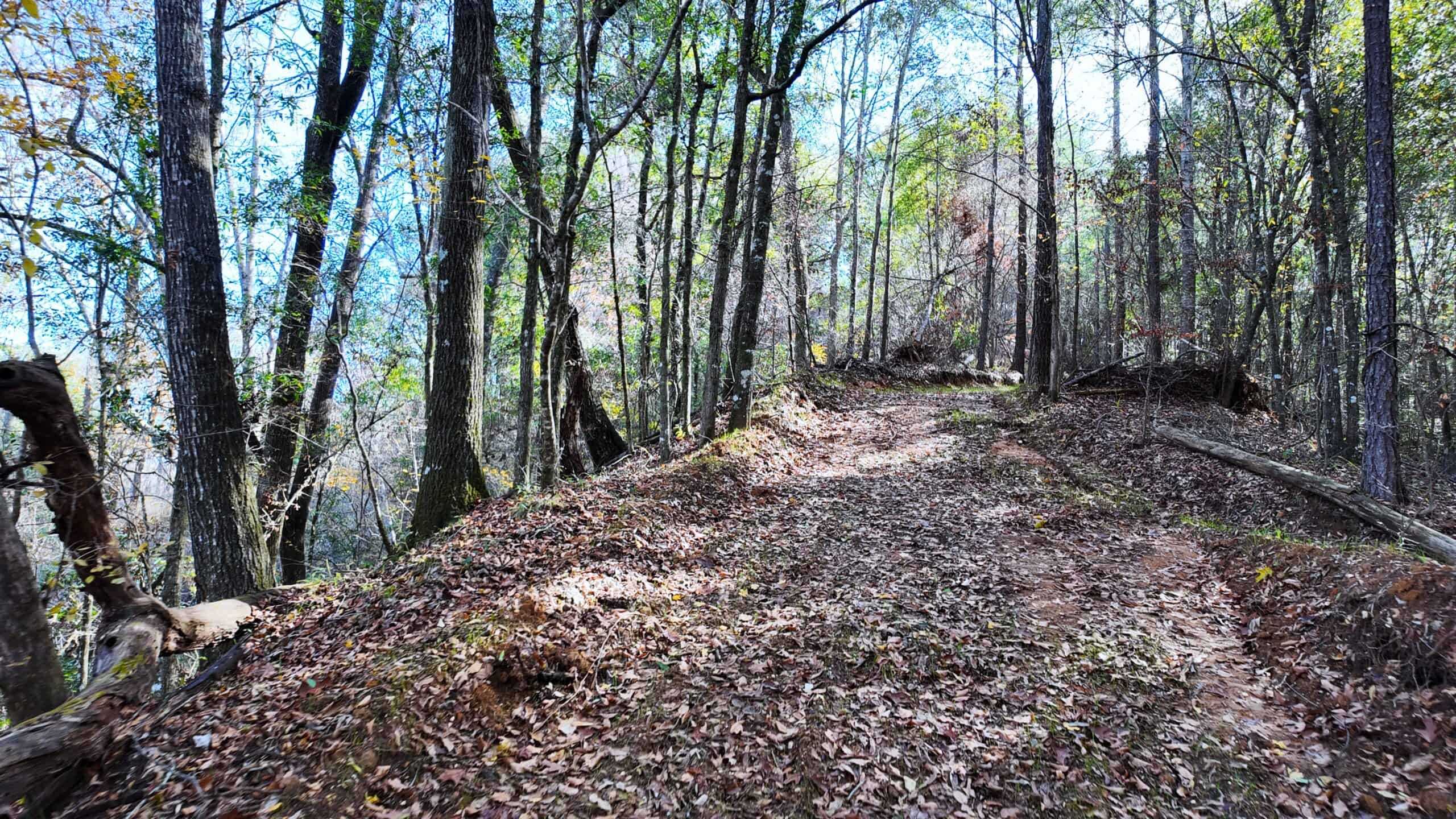 188 Acres for Sale in the Alabama River Bluff