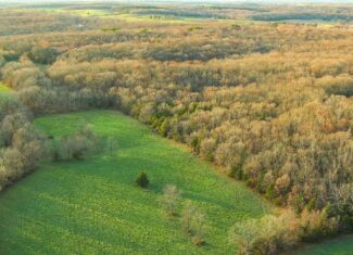 Salem, Missouri Acreage for Sale