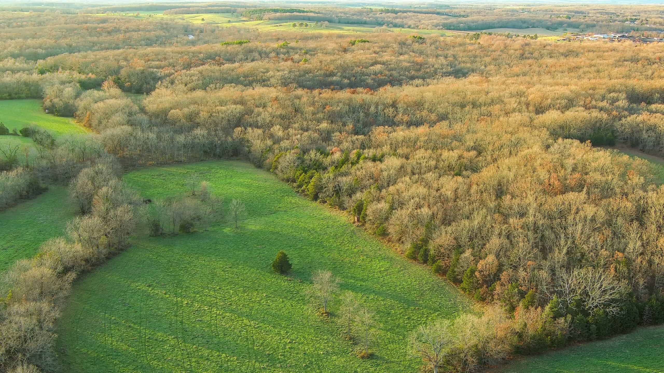 Salem, Missouri Acreage for Sale