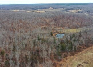 Land with Building Sites for Sale in Salem, Missouri