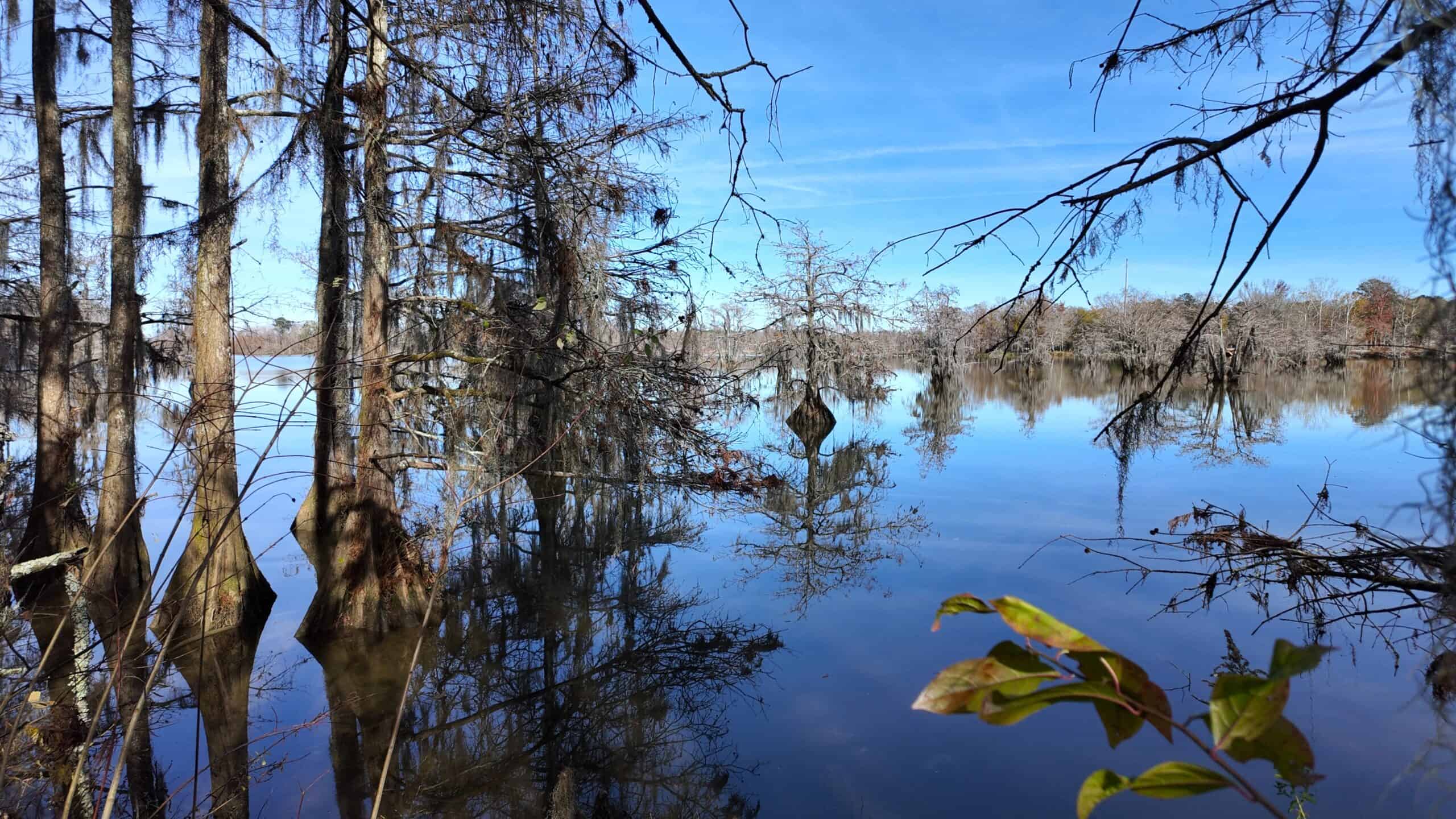 188 Acres for Sale in the Alabama River Bluff