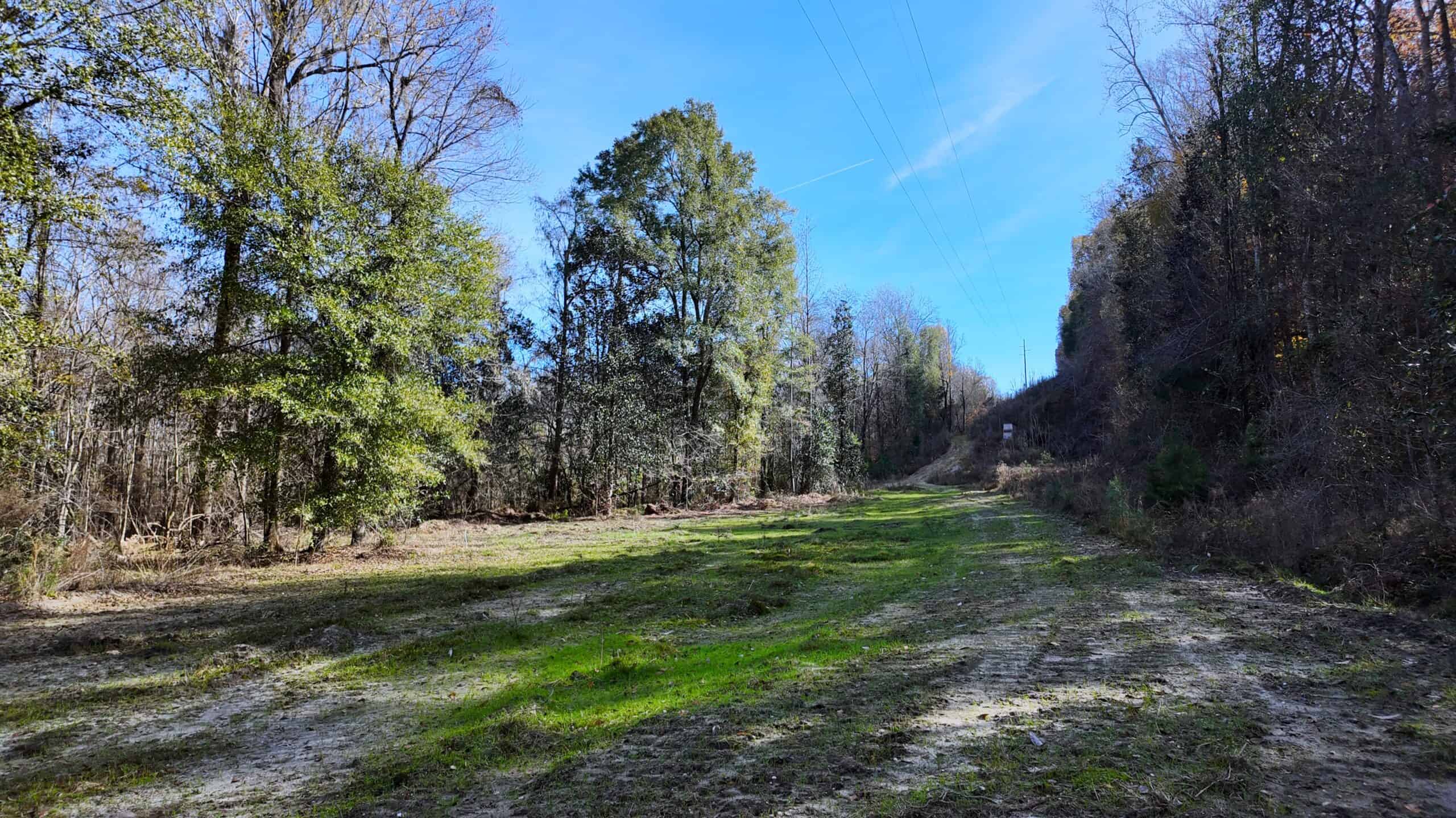 188 Acres for Sale in the Alabama River Bluff
