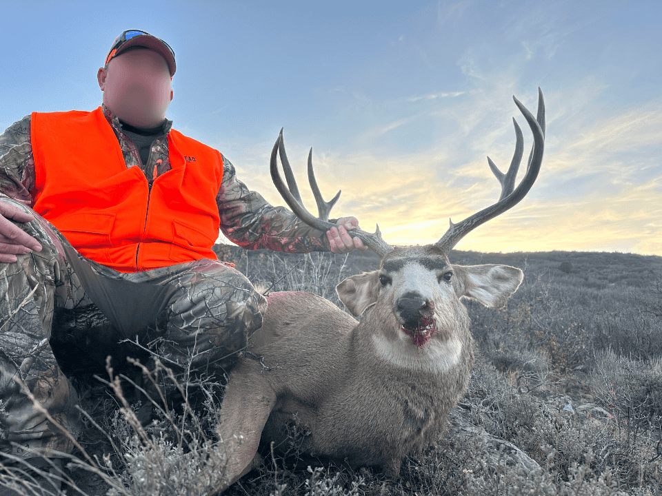 Bull Basin Meadows Ranch – Colorado Ranch in Collbran