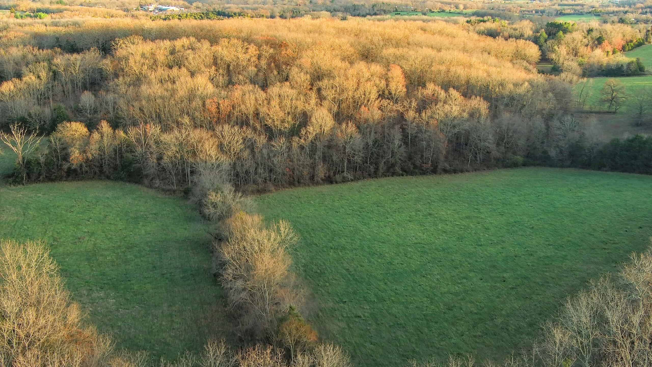Salem, Missouri Acreage for Sale
