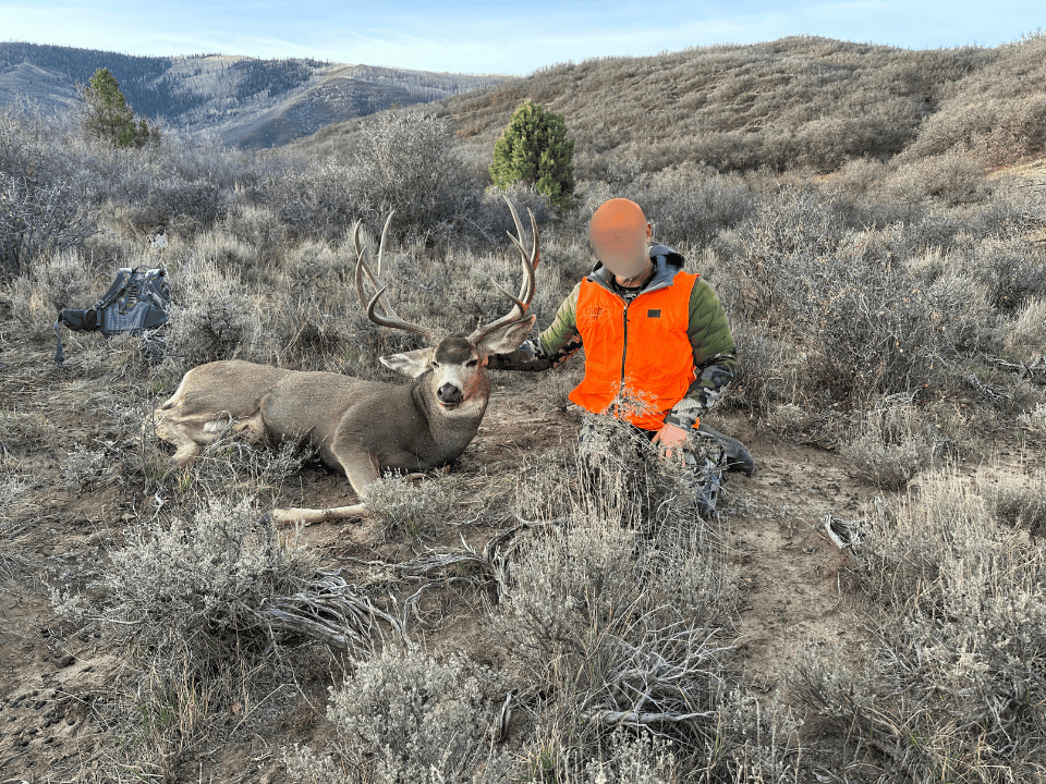 Bull Basin Meadows Ranch – Colorado Ranch in Collbran