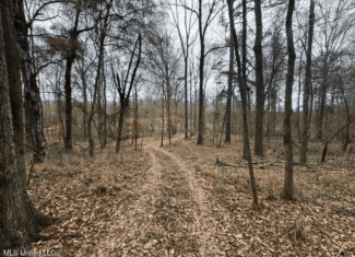 Prime Hunting/Recreation Tract near Homochitto Nat’l Forest