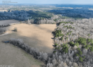 160 Acres in Lincoln County MS Near Brookhaven & I-55