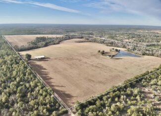 Rudd Sod Farm – 240 Acres in Alford, Florida – For Sale