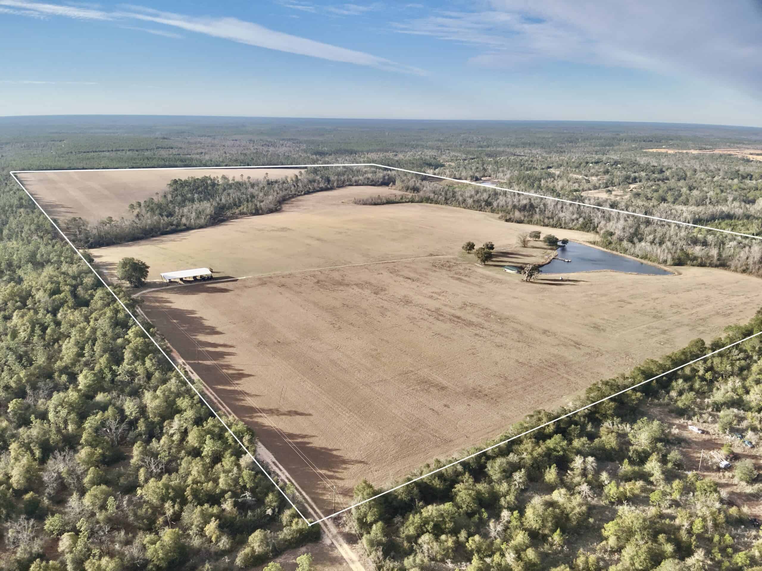 Rudd Sod Farm – 240 Acres in Alford, Florida – For Sale