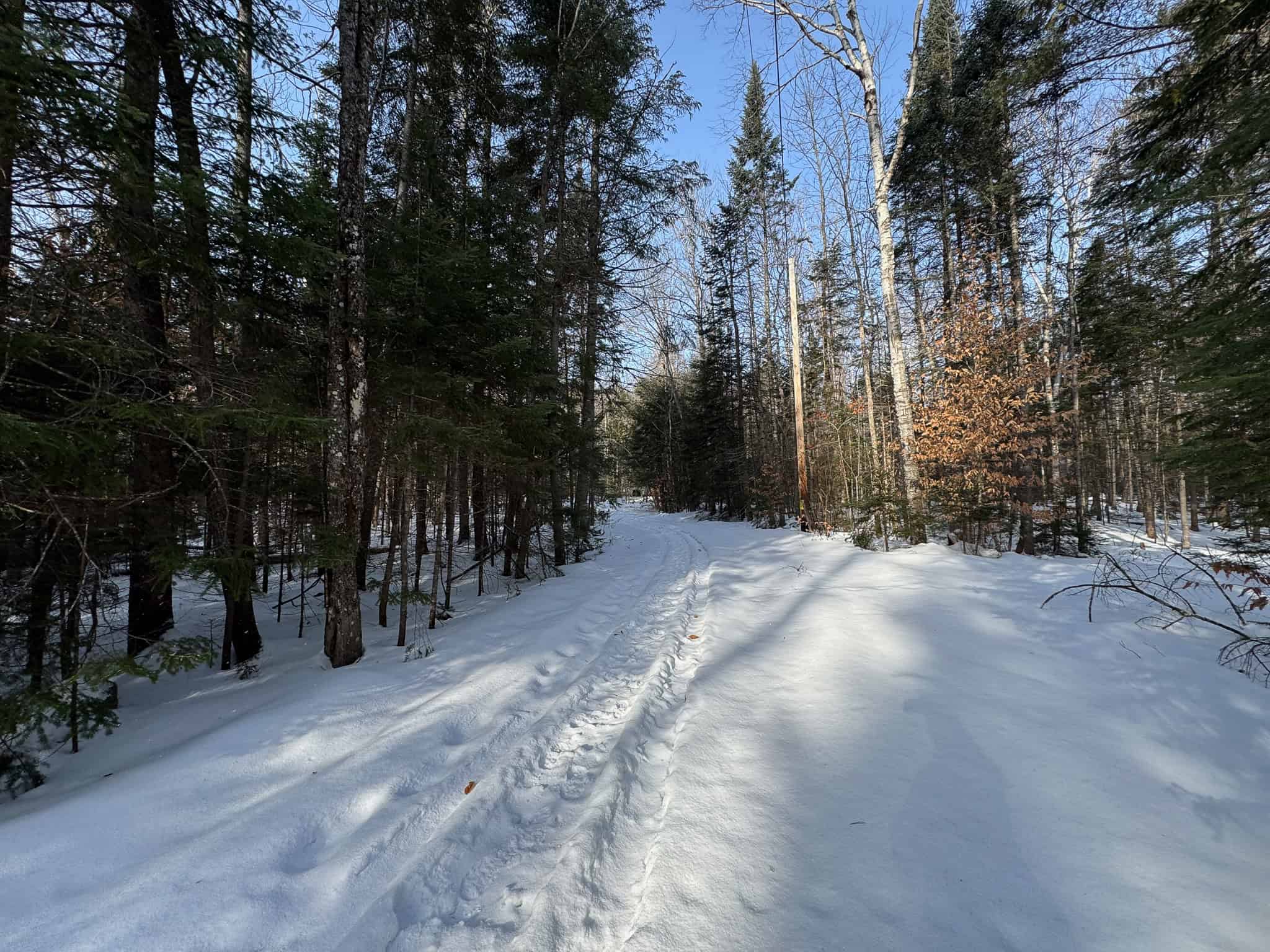 Waterfront Log Cabin on 16 Acres in Northern Maine