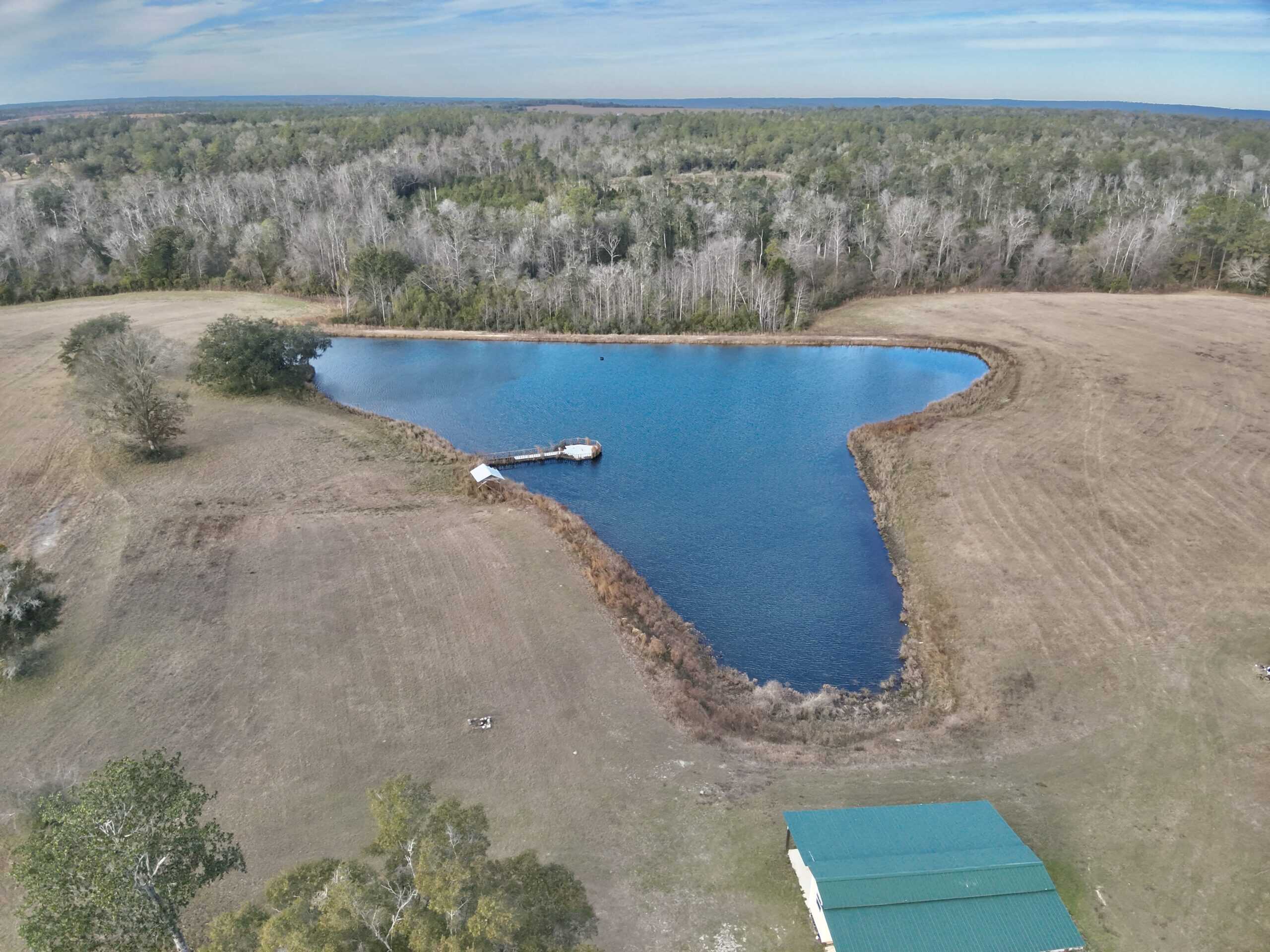 Rudd Sod Farm – 240 Acres in Alford, Florida – For Sale