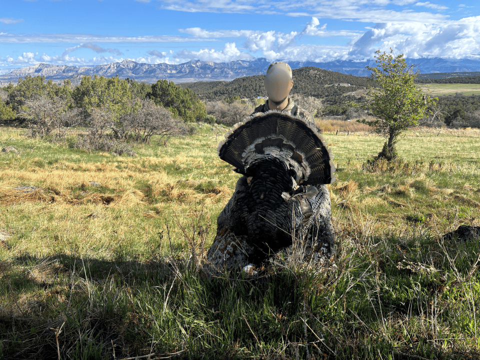 Bull Basin Meadows Ranch – Colorado Ranch in Collbran