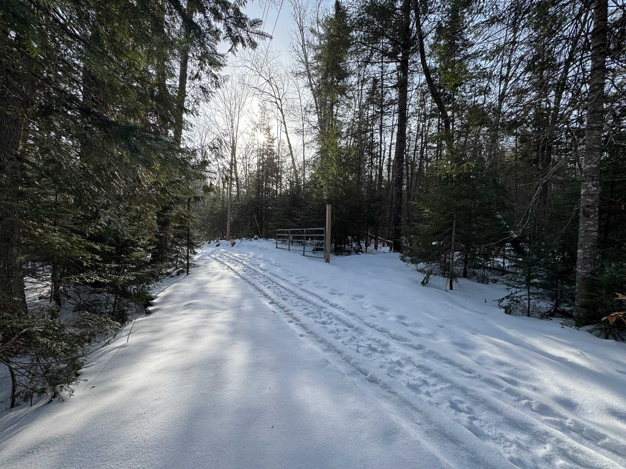 Waterfront Log Cabin on 16 Acres in Northern Maine