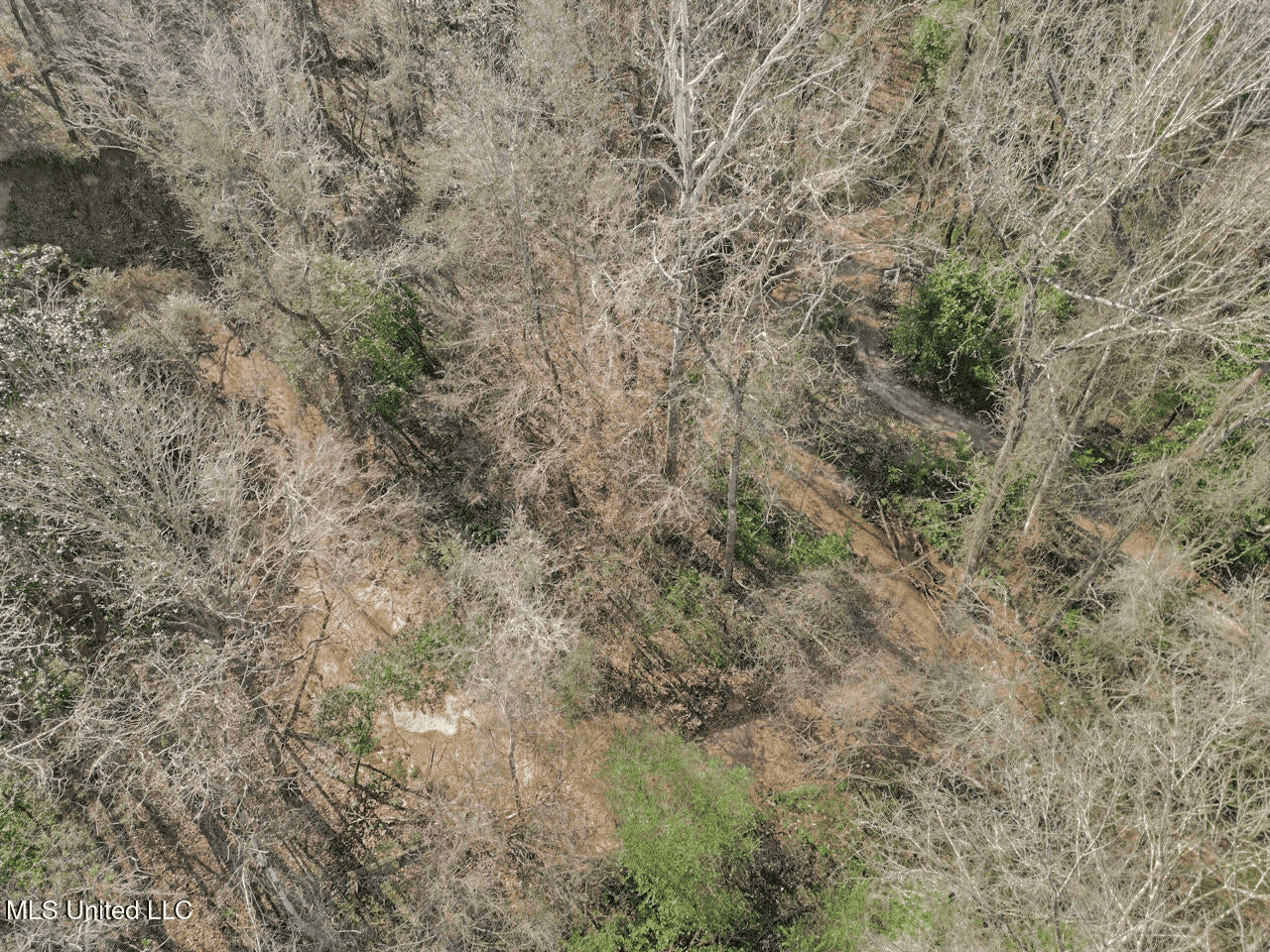 13645 LA Hwy 10, St. Francisville, LA Home on 19± Acres