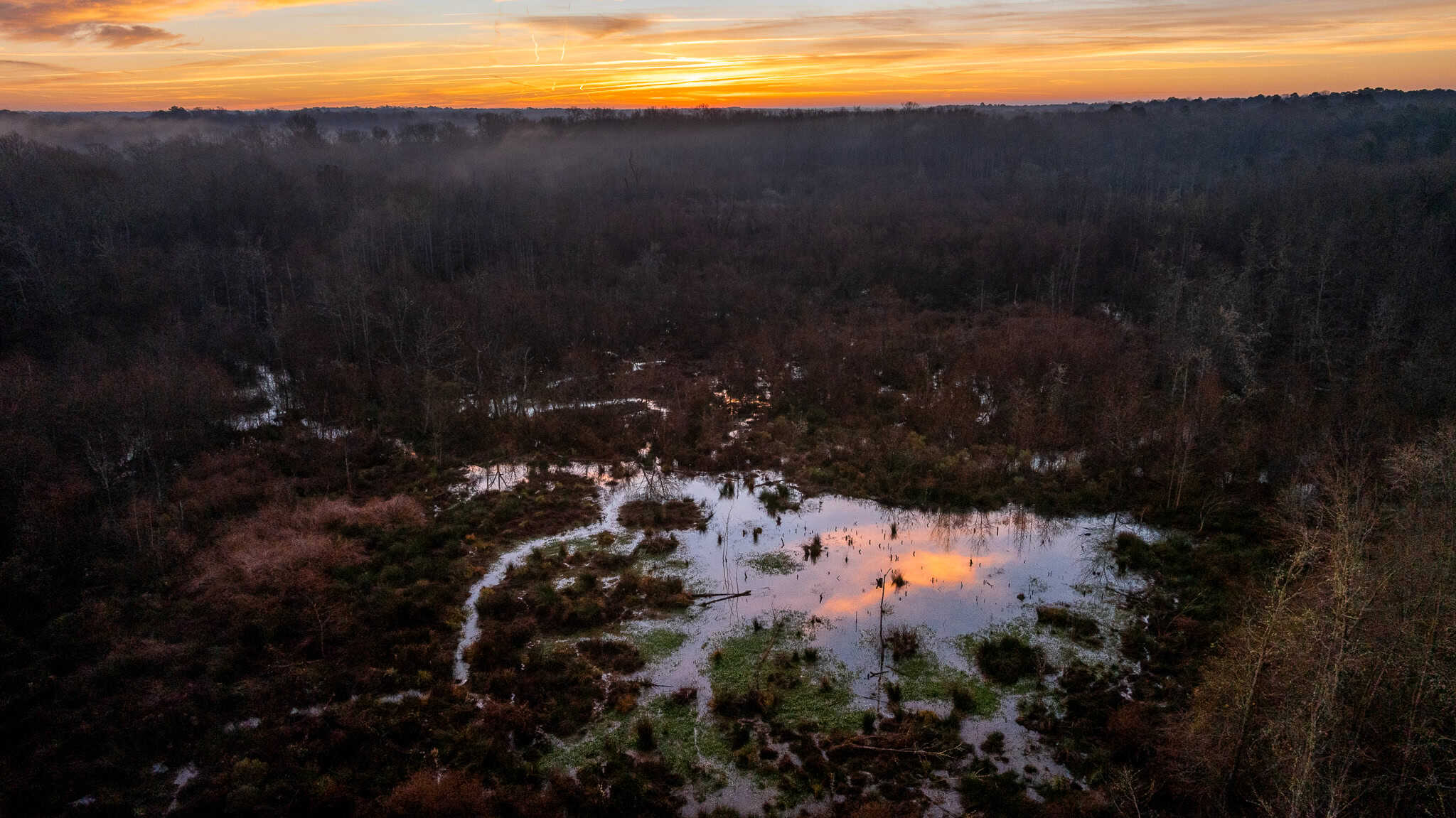 SOLD! 546-Acre Hunting Ranch for Sale | Deer, Waterfowl & Hogs | Bullard TX