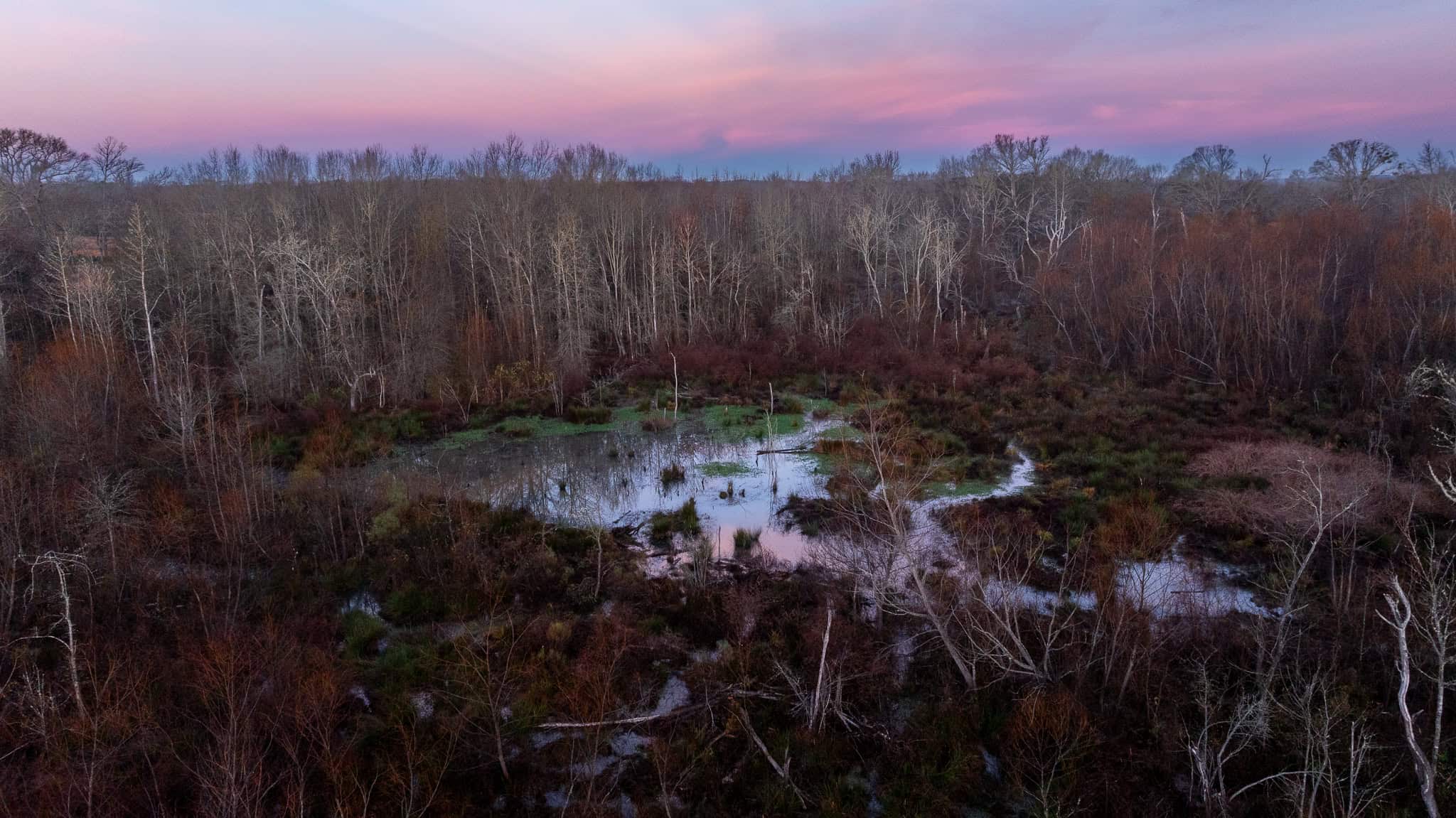 SOLD! 546-Acre Hunting Ranch for Sale | Deer, Waterfowl & Hogs | Bullard TX