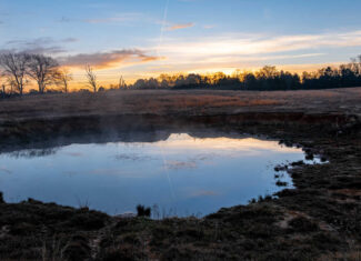 SOLD! 546-Acre Hunting Ranch for Sale | Deer, Waterfowl & Hogs | Bullard TX