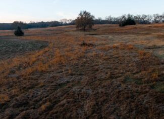 SOLD! 546-Acre Hunting Ranch for Sale | Deer, Waterfowl & Hogs | Bullard TX