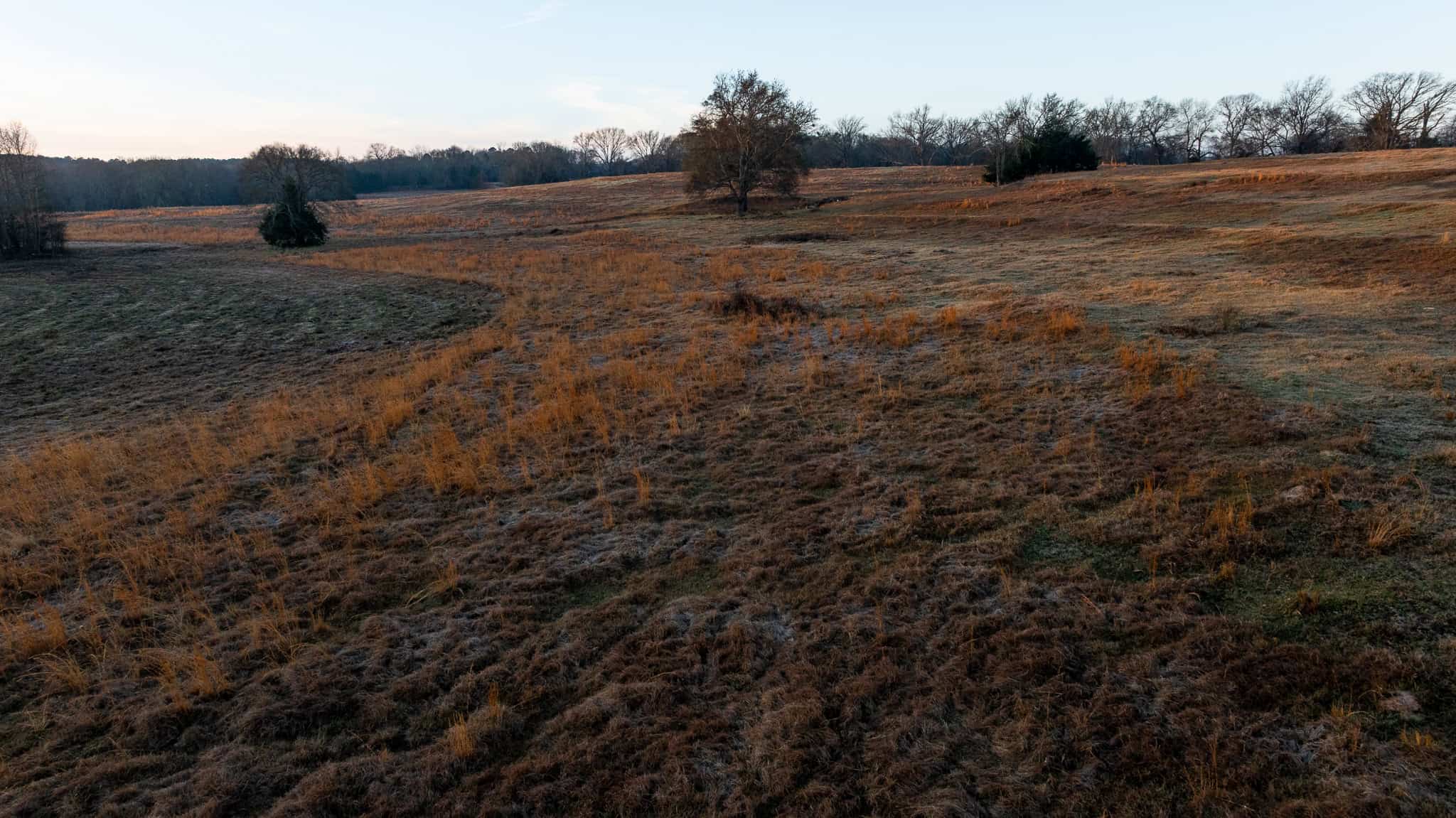 SOLD! 546-Acre Hunting Ranch for Sale | Deer, Waterfowl & Hogs | Bullard TX