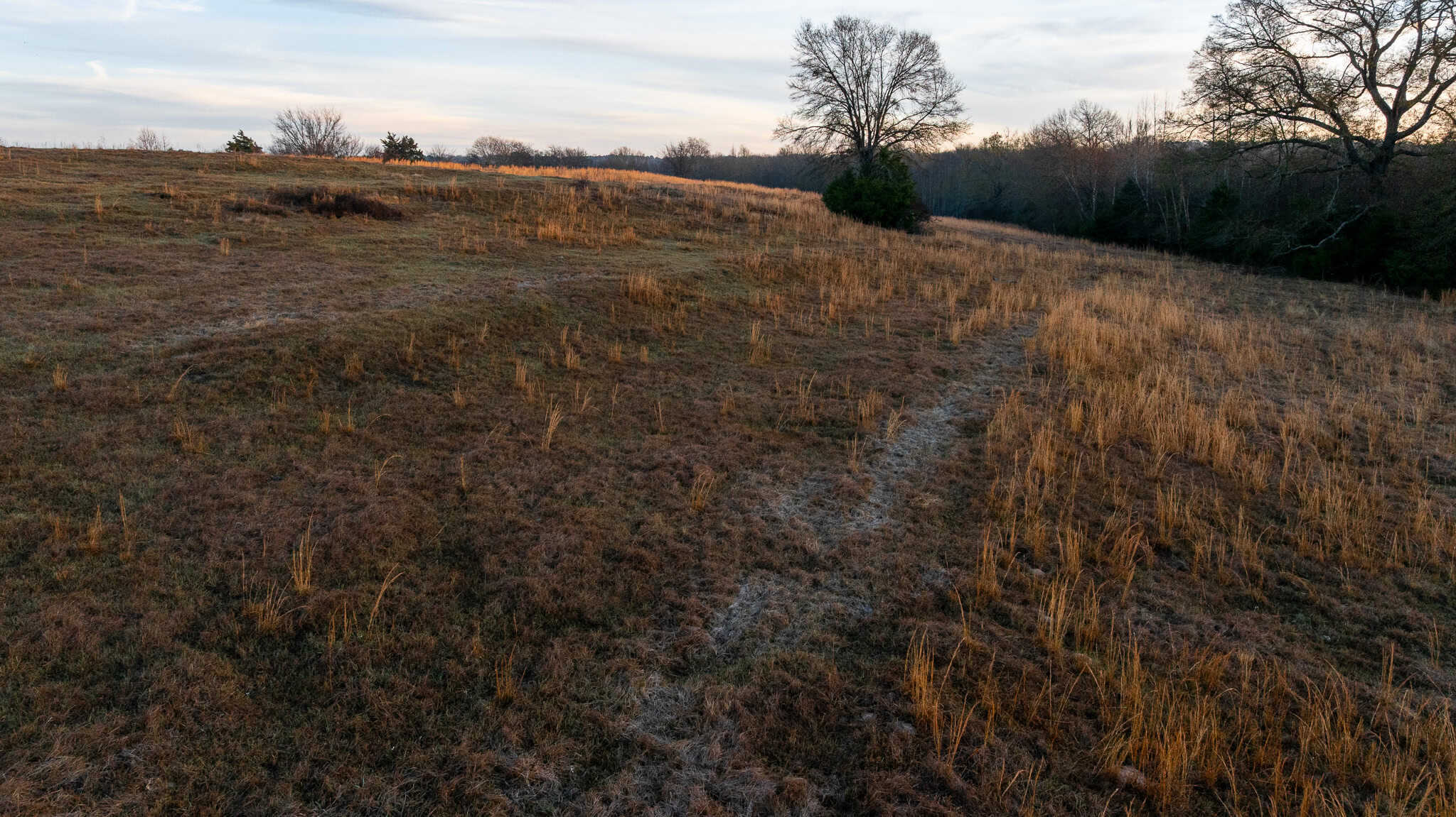 SOLD! 546-Acre Hunting Ranch for Sale | Deer, Waterfowl & Hogs | Bullard TX