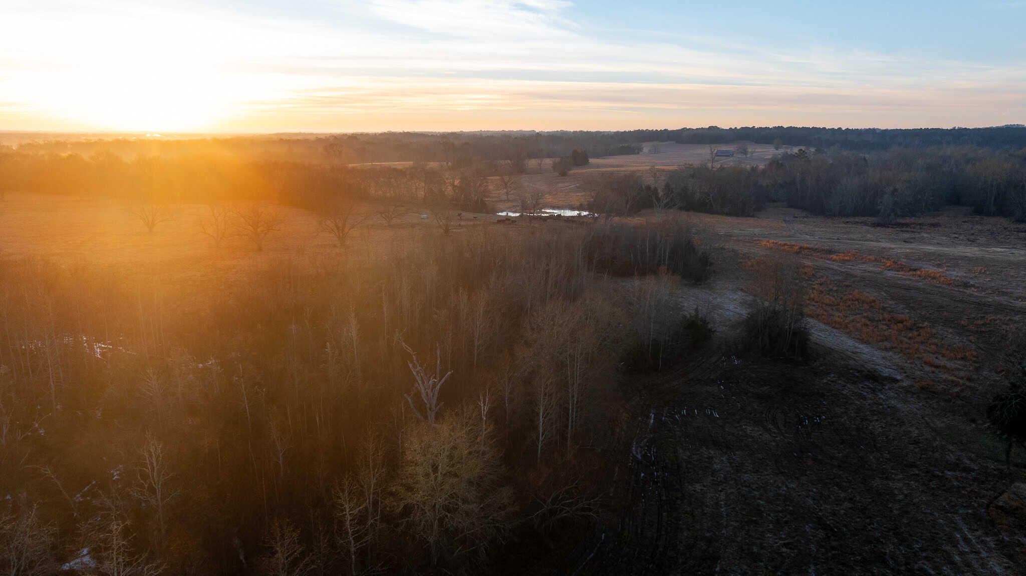 SOLD! 546-Acre Hunting Ranch for Sale | Deer, Waterfowl & Hogs | Bullard TX